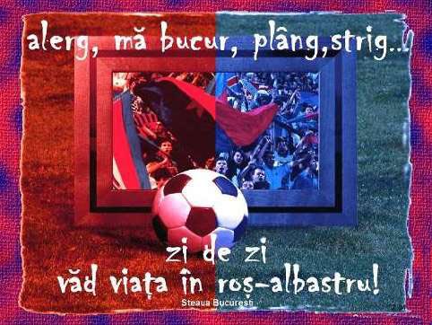 Steaua bucharest, steaua bucuresti, mirel radoi, - One photo for fans of Steaua Bucuresti.