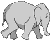 Elephant - An elephant