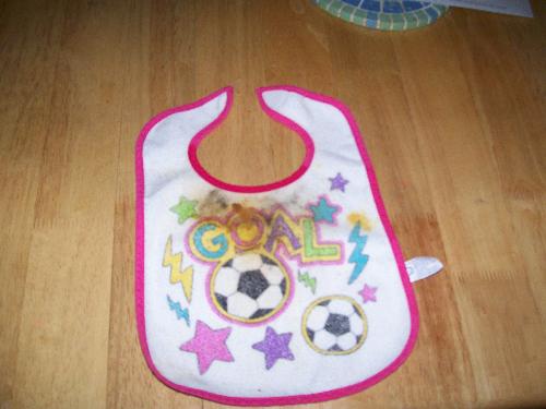 baby big - Here is a baby bib photo.