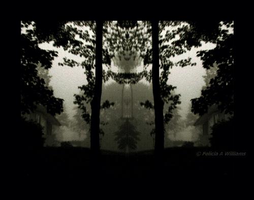Face - Playing around with the mirror function in Paint Shop Pro produced this illusion.