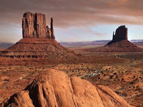 Desert Landscape - sweet is it not?