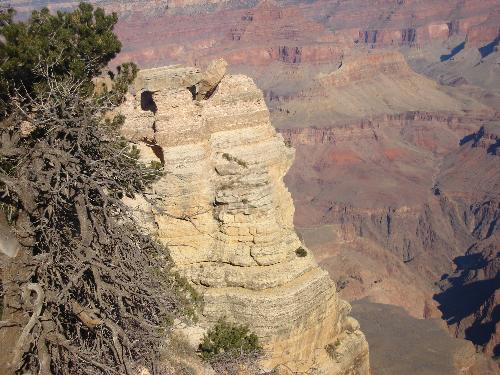 grand canyon - grand canyon -- view in north rim