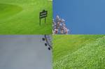 imagesDDimagesDD - imagesDD