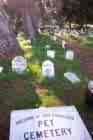 pet cemetary - a place for our beloved furry friends, called pets by some, once departed