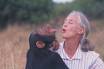Jane Goodall, non-famous woman scientist - One of those non-famous women scientist.