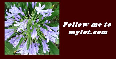 My Lot Banner 2 - Feel free to use these to promote your mylot site
