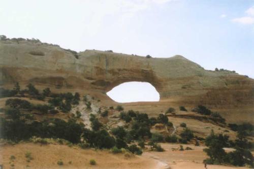185  Wilso185  Wilson Arch - 185  Wilson Arch