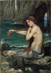 Mermaid's - Mermaid's do they exist? Mermaid's - Mermaid's do they exist?