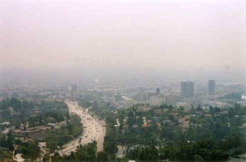 207  Los Angeles I - 207  Los Angeles I