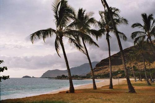 237  Oahu - 237  Oahu