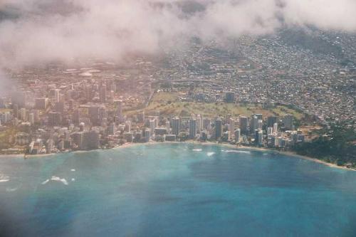 239  Waikiki - 239  Waikiki
