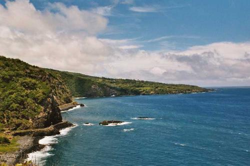 246  Maui - 246  Maui