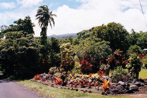 247  Maui - 247  Maui