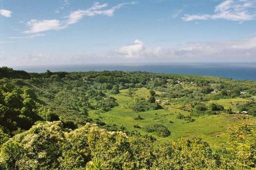 253  Maui - 253  Maui