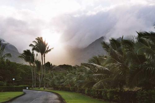 255  Maui - 255  Maui