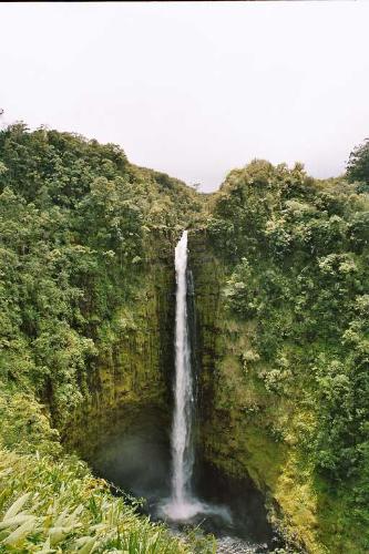 274  Akaka Falls - 274  Akaka Falls