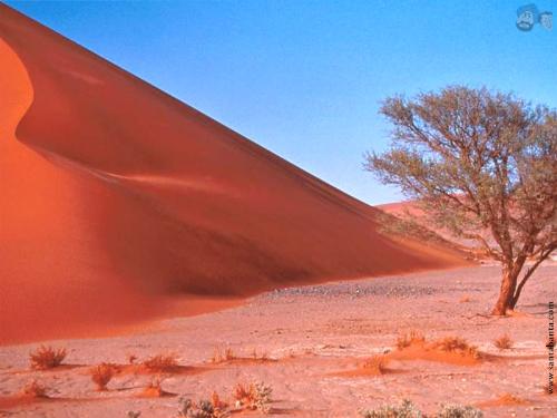 desert 6 - desert 6