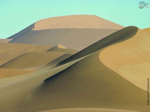 desert 9 - desert 9