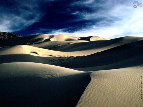 desert 12 - desert 12