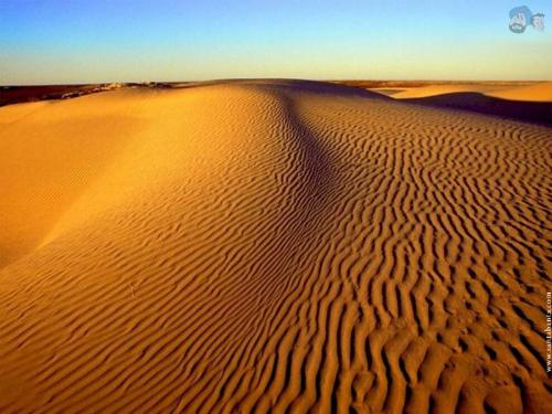 desert 14 - desert 14