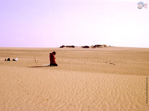 desert 18 - desert 18