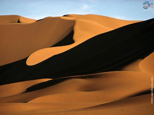 desert 21 - desert 21
