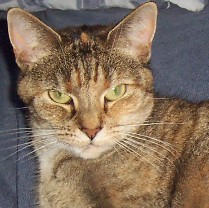 Leela - 8yo
