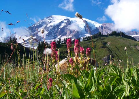 Mount Rainier - one of many beautiful places to visit