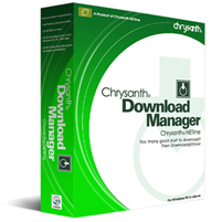 download manager - download manager