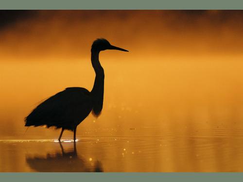 Cool Morning - .........WoooooooooooooooW...........