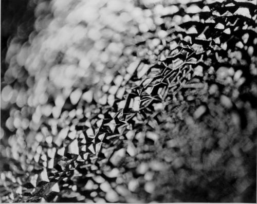 Ceiling light cover lighting - I also took this in 1991--cover of a fluorescent (sp?) light.