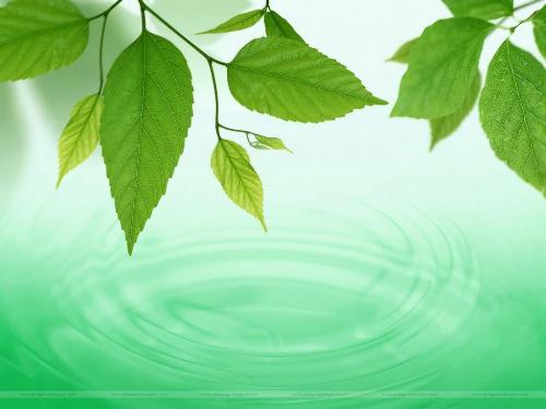 Nature - Nature
