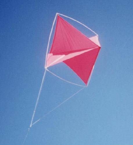 kite - red kite