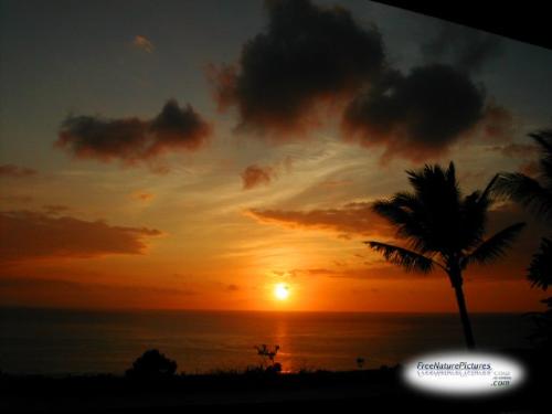 sunset - isnt it beautiful?