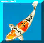 yamatonishiki - yamatonishiki