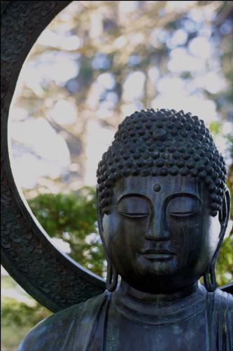 gautam buddha - gautam buddha in japanese garden