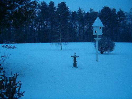 Snow 3 - Snow!!! White as Snow... oh Beautiful snow  Pretty much the pictures about snow!!