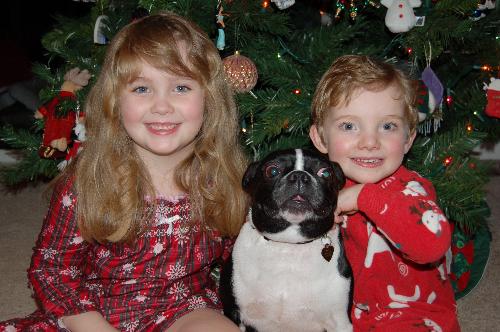 Daffy and the kids - These are my three children, 2 with fur and 1 without!  Daffy is a Boston Terrier and such a doll.