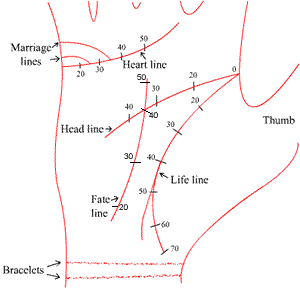 Palmistry - Its an amzing science....lets know more about...