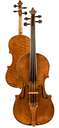 violin - violin