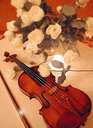 violin - violin