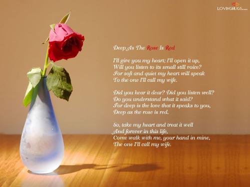 Nice Rose Pot - Nice Rose Pot