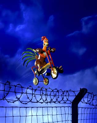chicken run - chicken run