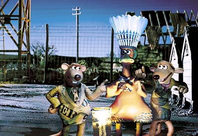 chicken run - chicken run