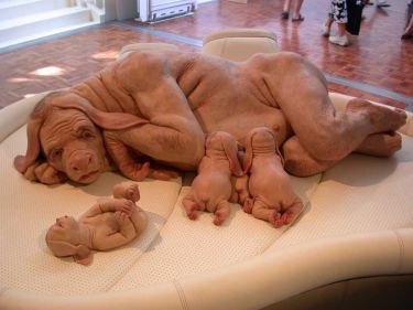 human dog - this is look like human dog