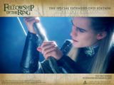 Photo from the movie Lord of the Rings. - I've upload some pictures from the movie Lord of the Rings because it is one of my favourite movie ever made. I think it that this movie has every thing that you whant: adventure, drama, comedy, etc. Absolutly every thing.I hope that the fourth part will appear very soon. Cheers!