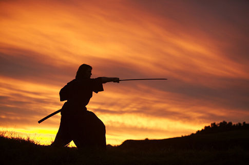the last samurai - the last samurai