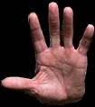 Palmistry - Mistry of your palm