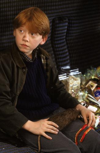 ron weasley of harry potter - ron weasley of harry potter