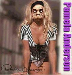 the real pamela anderson - Pamela Anderson without make up